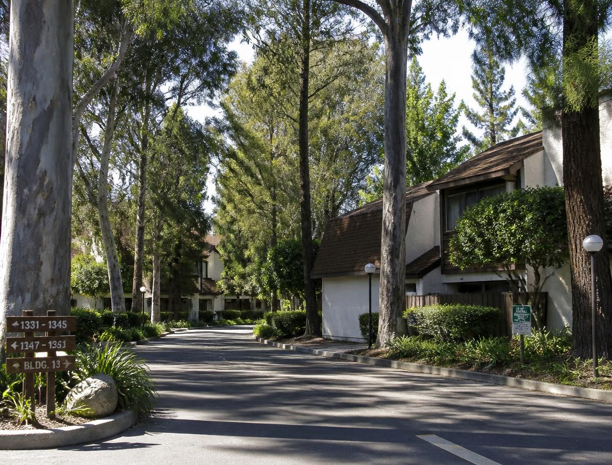 Shaded private drive inside Hidden Lakes lined with eucalyptus and pine trees beside two-story townhomes