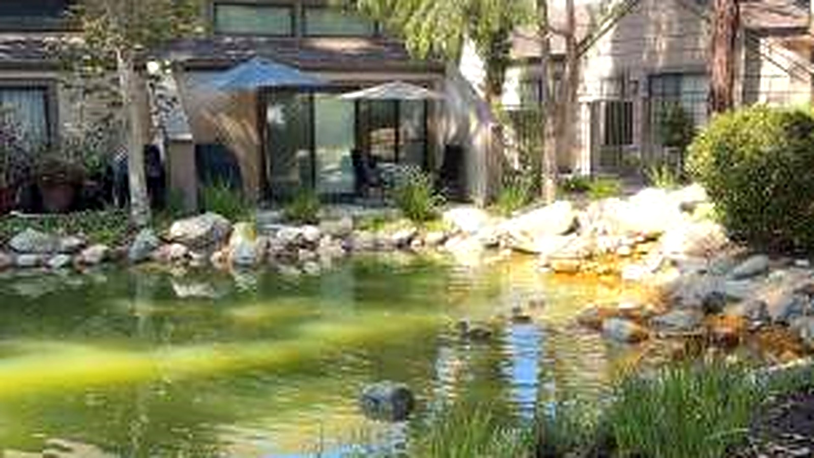 The Hidden Lakes pond bordered by boulders, grasses and shaded townhomes